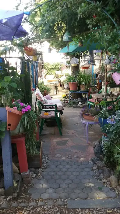 La Buona Vita-Mobile Park Picture 9