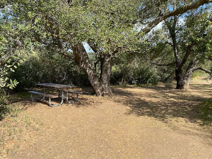 Owl & Quail Group Campground at Caspers Wilderness Park Picture 8