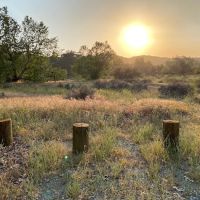 Ortega Flats Campground at Caspers Wilderness Park ico