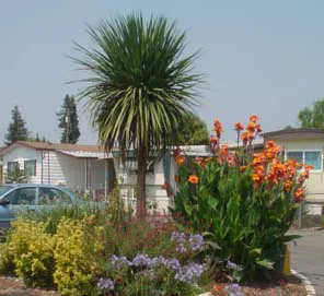 Foothills Mobile Home Park Picture 1