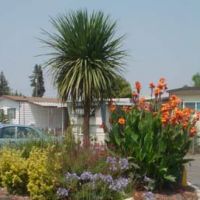 Foothills Mobile Home Park ico