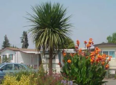 Foothills Mobile Home Park