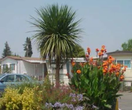 Foothills Mobile Home Park