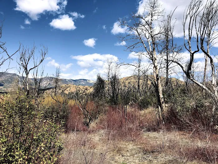 Rose Valley Campground Picture 4
