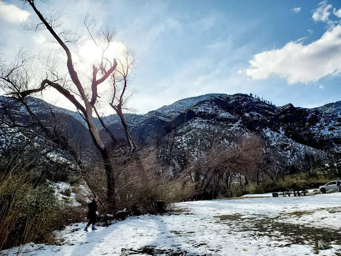 Rose Valley Campground Picture 6