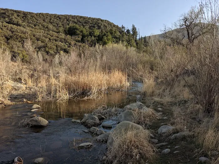 Bear Creek Trail Camp Picture 2