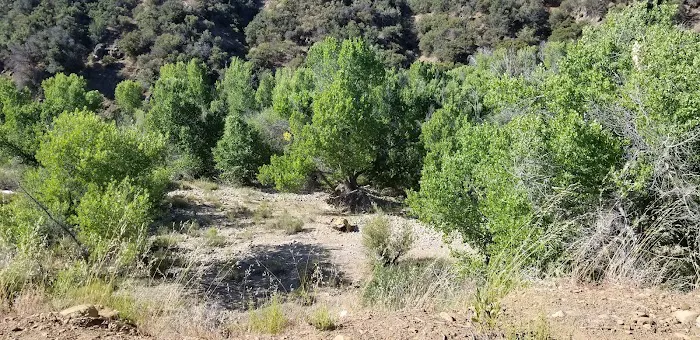 Bear Creek Trail Camp Picture 9