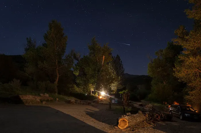 Middle Lion Campground Picture 1