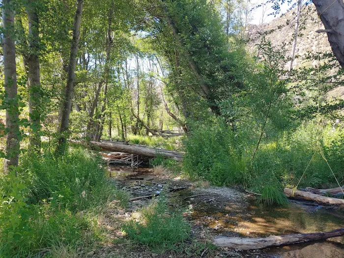 Middle Lion Campground Picture 2