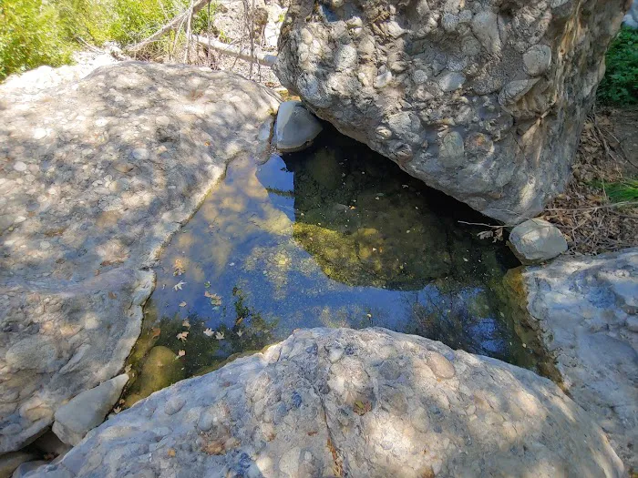 Middle Lion Campground Picture 4