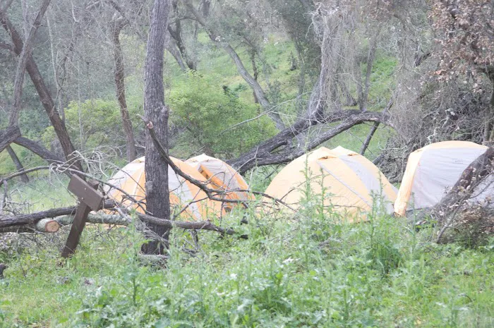 Camp Willett Headquarters Picture 7