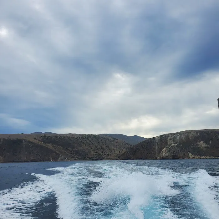 Santa Cruz Island Scorpion Canyon Campground Picture 9