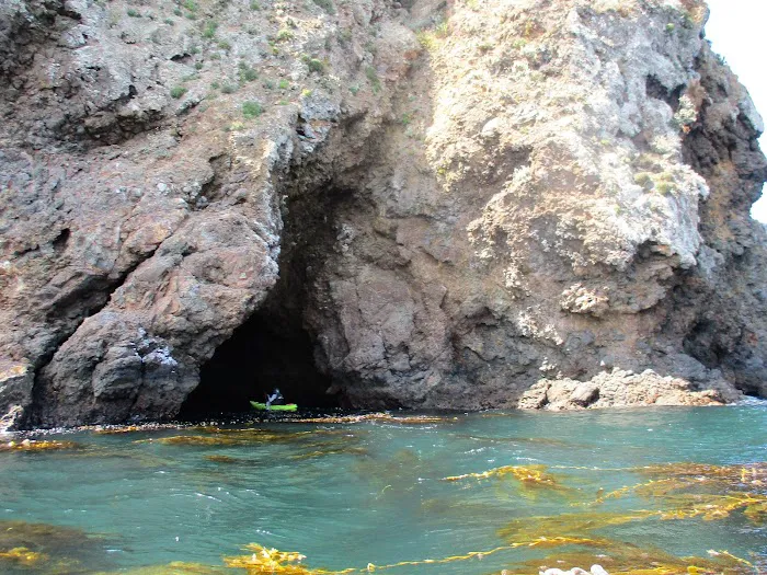 Santa Cruz Island Scorpion Canyon Campground Picture 10