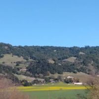 El Crystal Mobile Home Park ico