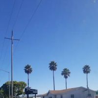 North Star Park ico