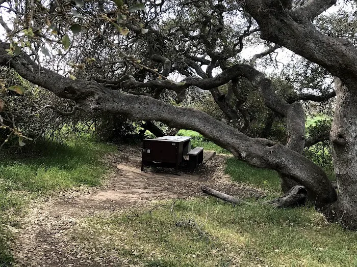 Santa Cruz Island Del Norte Backcountry Campground Picture 1