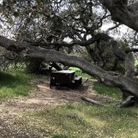 Santa Cruz Island Del Norte Backcountry Campground ico