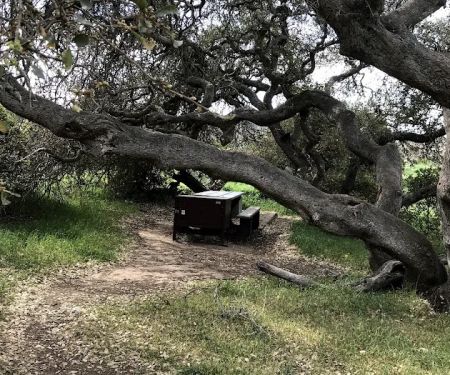 Santa Cruz Island Del Norte Backcountry Campground