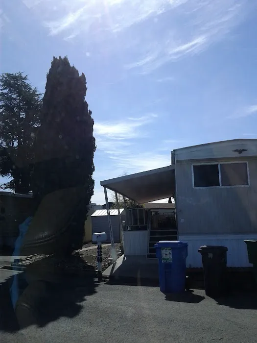 Lamplighter Mobile Home Park Picture 5