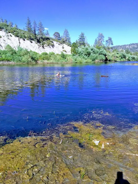 Jackson Lake Picnic Site Picture 3