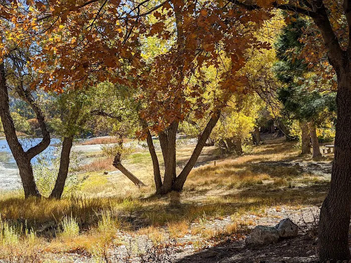 Jackson Lake Picnic Site Picture 10