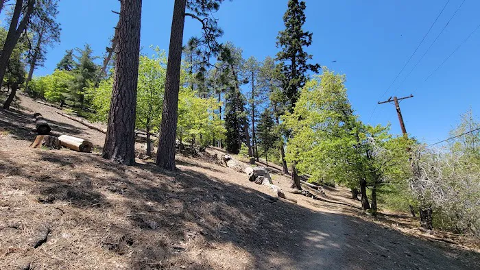 Jackson Lake Picnic Site Picture 9