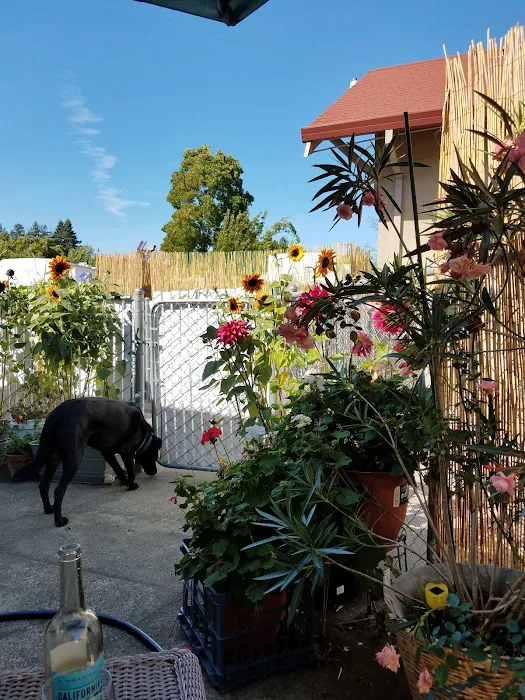 Villa Trailer Park Picture 10