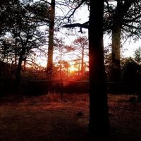 Mountain Oak Campground ico