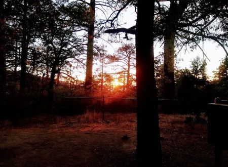 Mountain Oak Campground