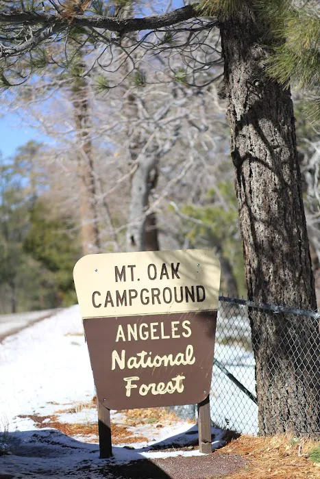 Mountain Oak Campground Picture 4