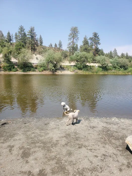 Mountain Oak Campground Picture 5