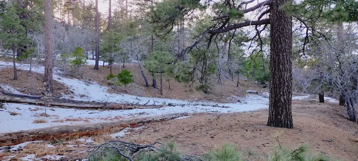 Mountain Oak Campground Picture 8