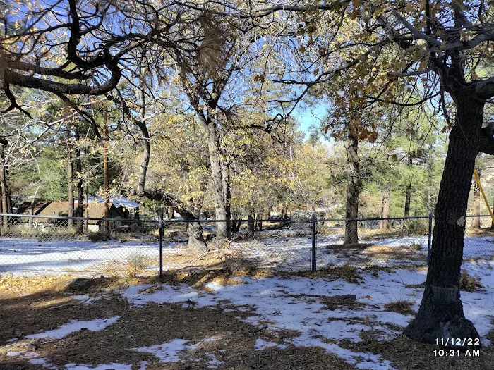 Mountain Oak Campground Picture 6