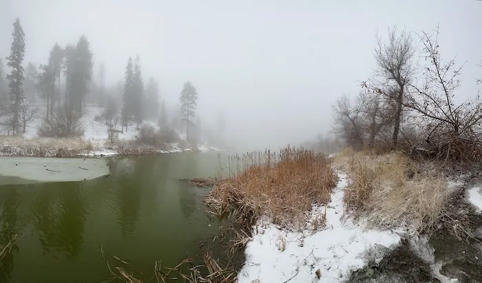 Lake Campground Picture 2
