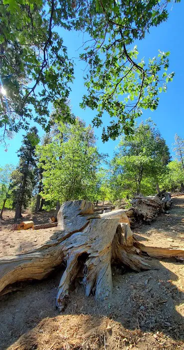 Lake Campground Picture 8