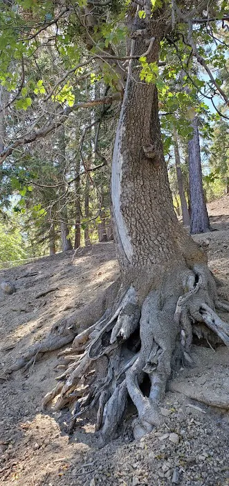 Lake Campground Picture 9