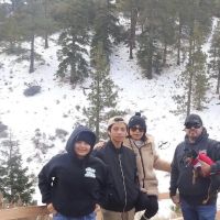 Lions Camp at Wrightwood ico