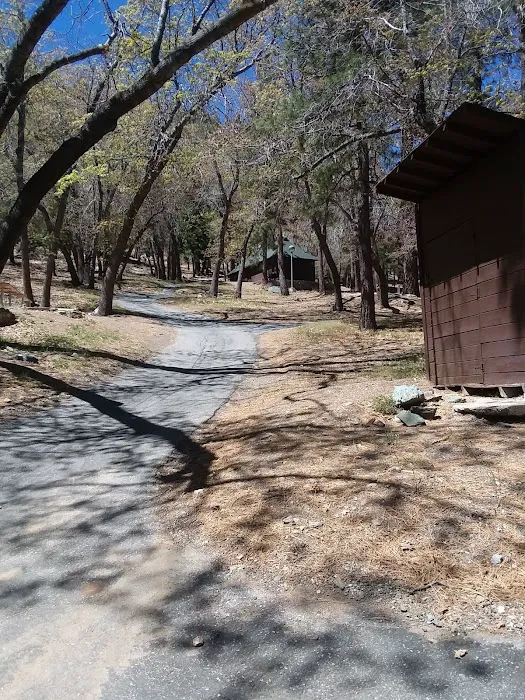 Lions Camp at Wrightwood Picture 2