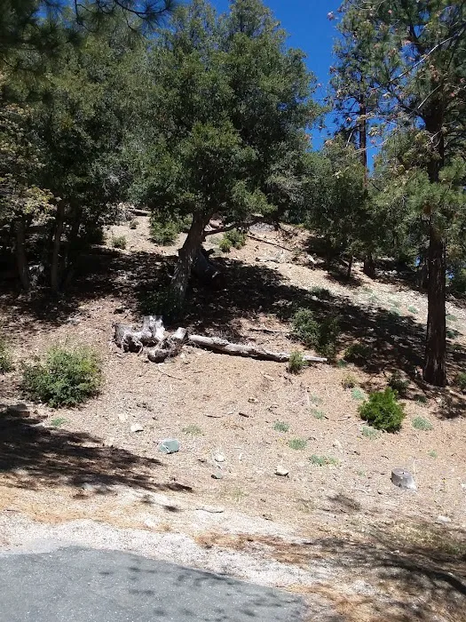 Lions Camp at Wrightwood Picture 4