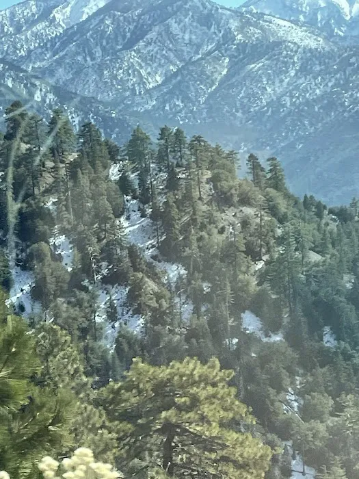 Lions Camp at Wrightwood Picture 6