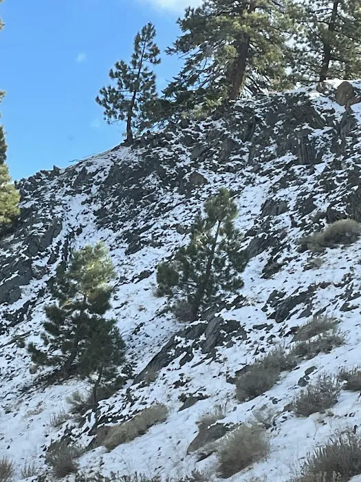 Lions Camp at Wrightwood Picture 8