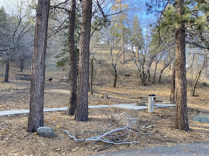 Peavine Campground Picture 1