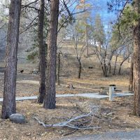 Peavine Campground ico