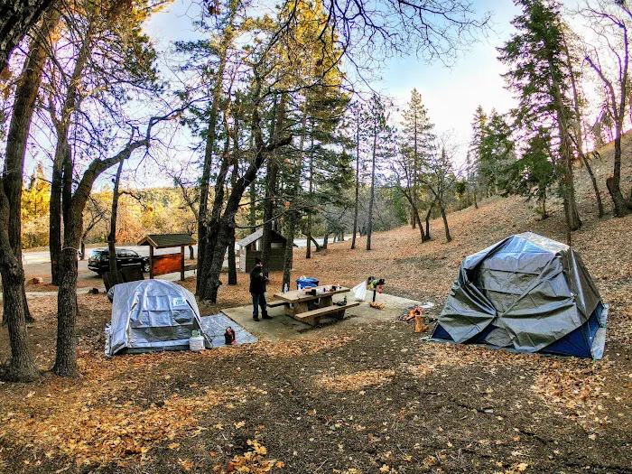Peavine Campground Picture 5