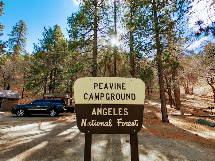 Peavine Campground Picture 4