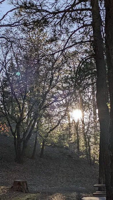Peavine Campground Picture 6