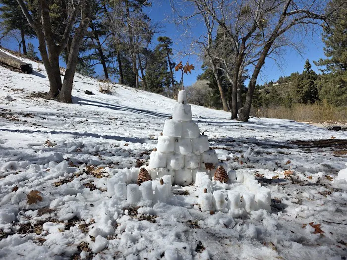 Peavine Campground Picture 7