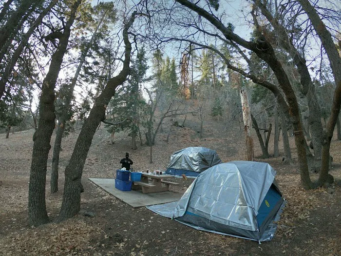 Peavine Campground Picture 8