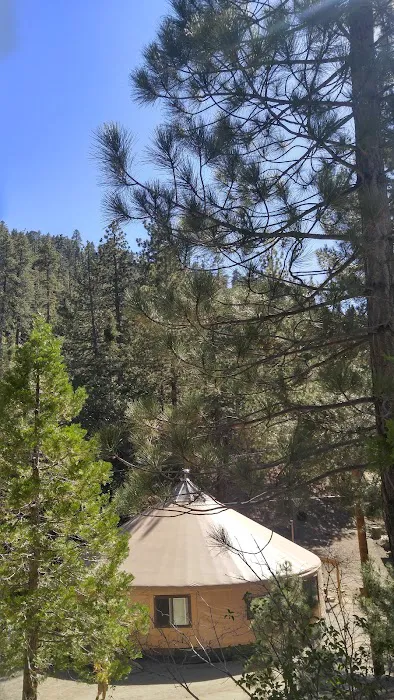BYA Harmony Pines Youth Camp Picture 10