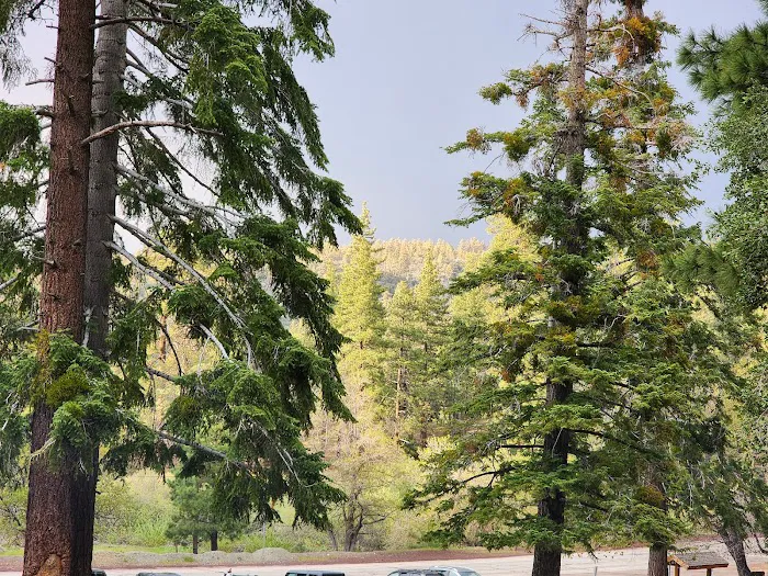 Appletree Campground Picture 1